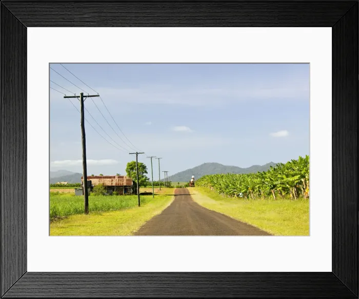 Framed Print : DDE-90026267