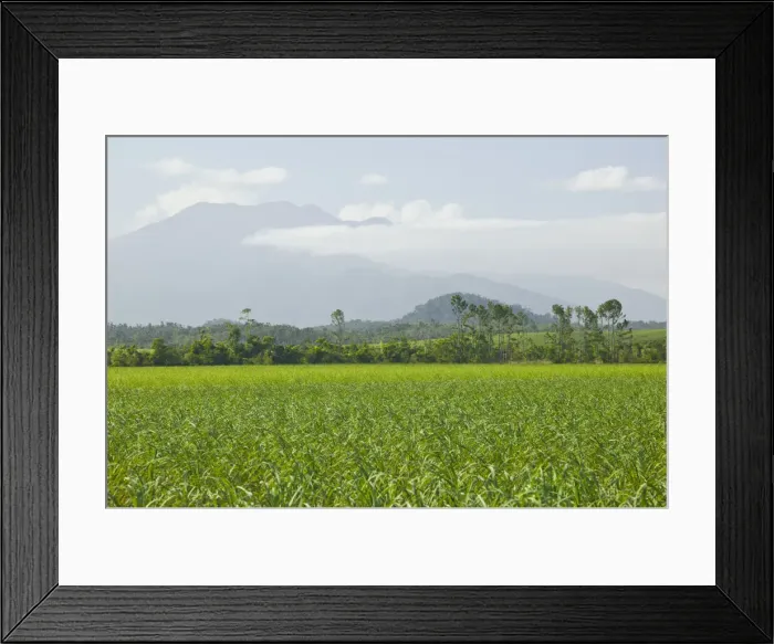 Framed Print : DDE-90026268 Framed Print : DDE-90026268