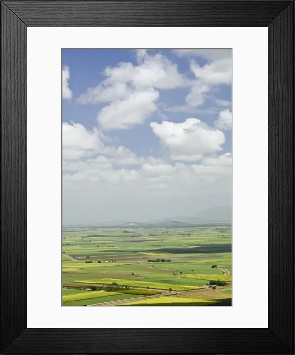 Framed Print : DDE-90026272 Framed Print : DDE-90026272