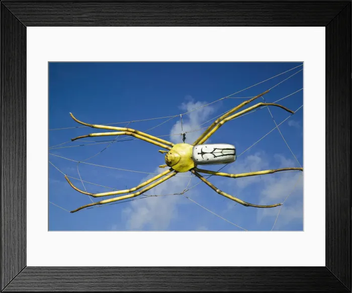 Framed Print : DDE-90026282 Framed Print : DDE-90026282