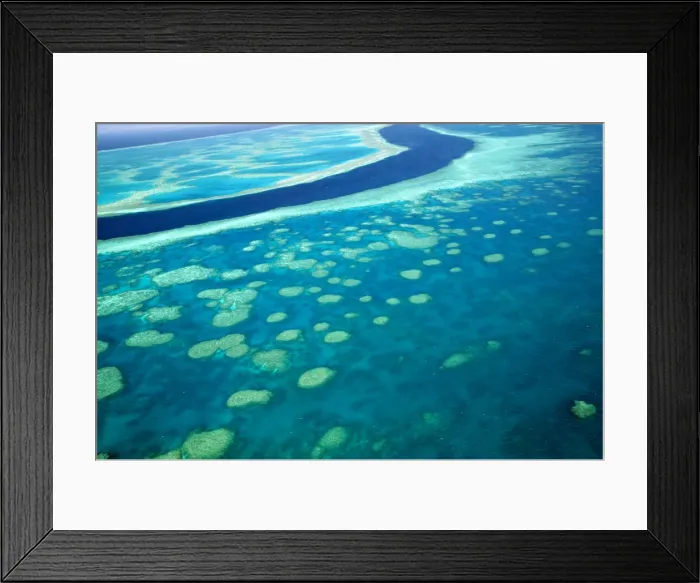 Framed Print : DDE-90026288 Framed Print : DDE-90026288