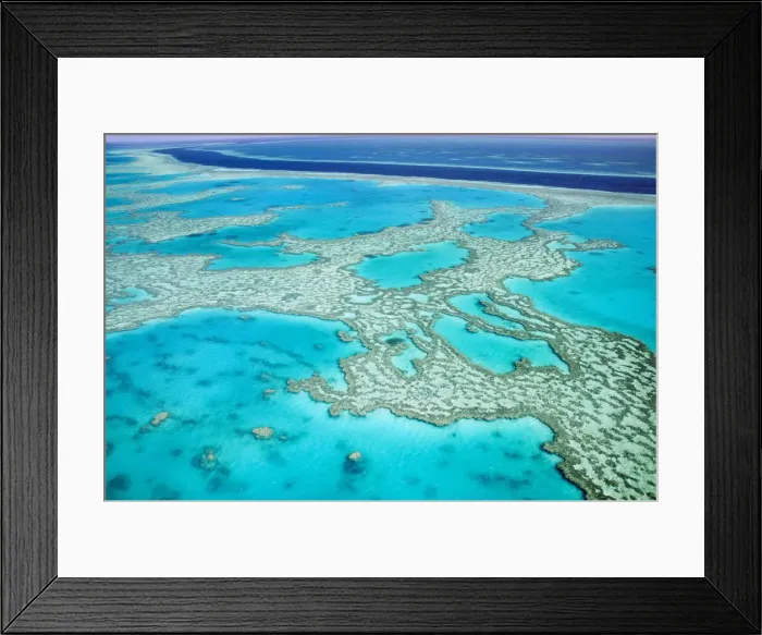 Framed Print : DDE-90026289 Framed Print : DDE-90026289