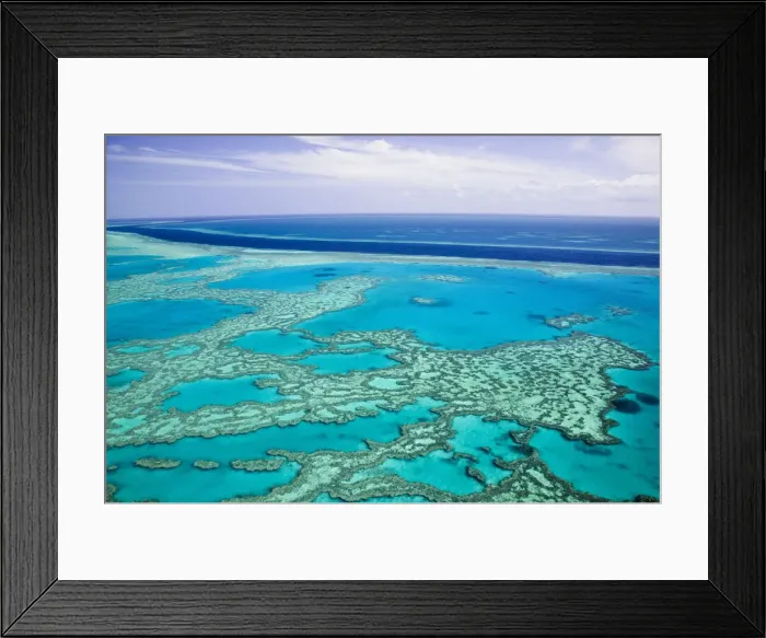 Framed Print : DDE-90026290 Framed Print : DDE-90026290