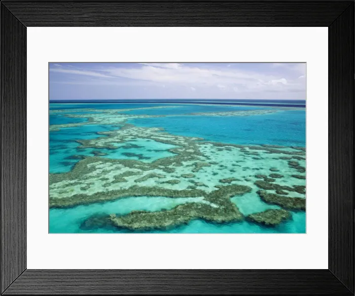 Framed Print : DDE-90026292 Framed Print : DDE-90026292