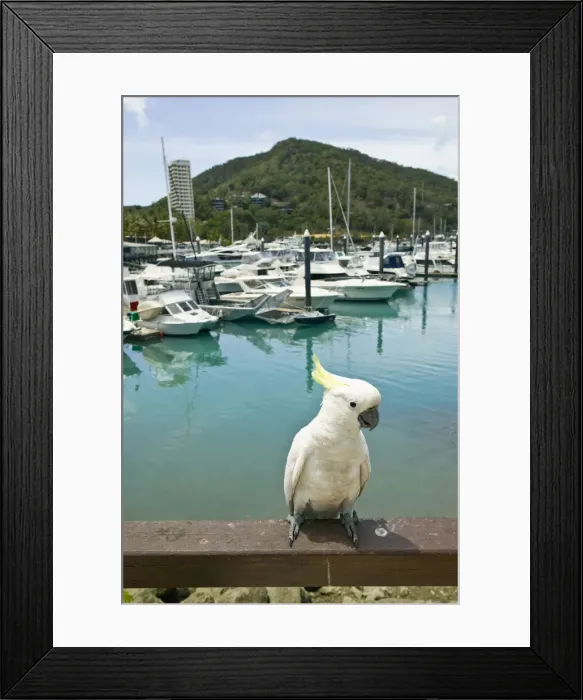 Framed Print : DDE-90026297 Framed Print : DDE-90026297