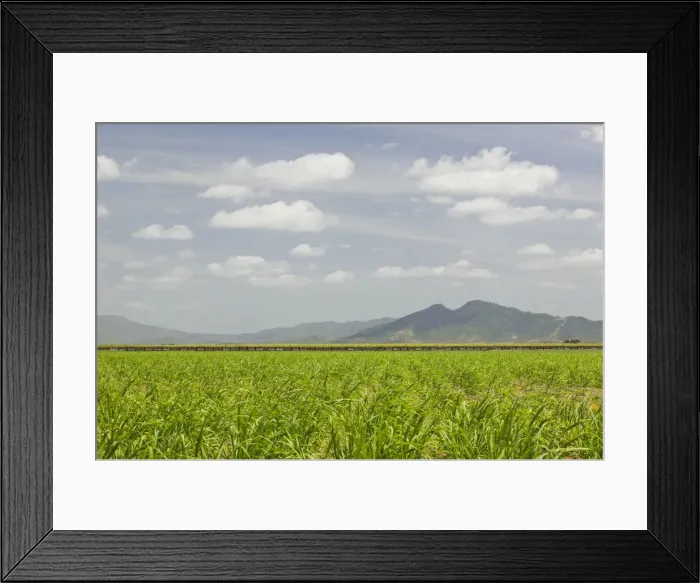 Framed Print : DDE-90026299 Framed Print : DDE-90026299