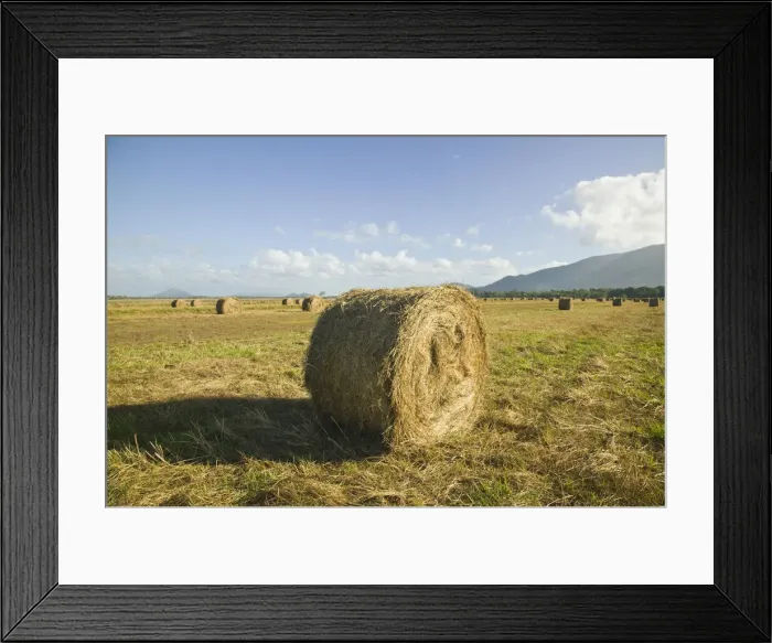 Framed Print : DDE-90026302 Framed Print : DDE-90026302