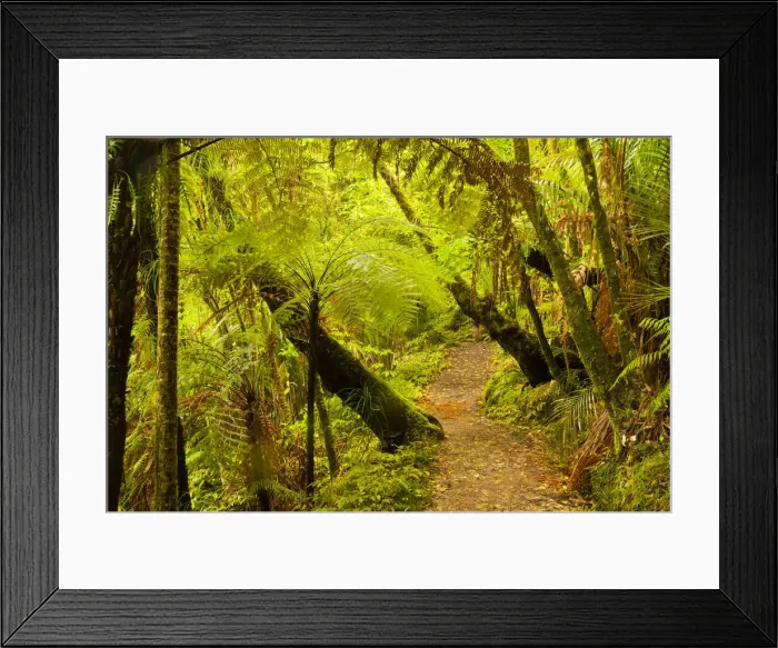 Framed Print : DDE-90026326 Framed Print : DDE-90026326