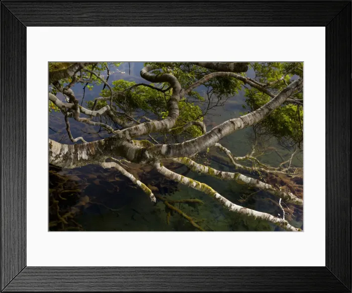 Framed Print : DDE-90026328