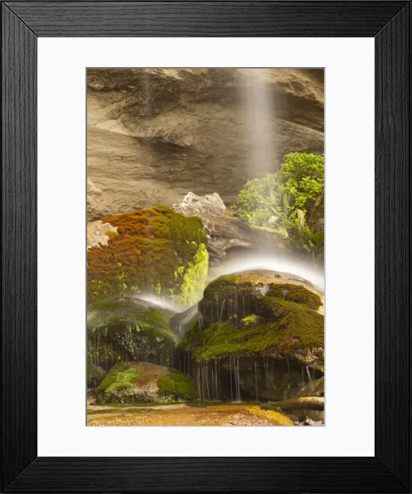 Framed Print : DDE-90026329