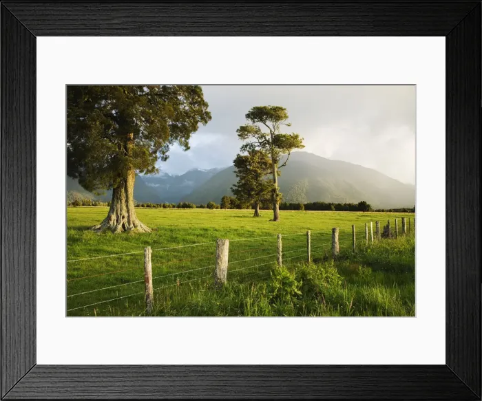 Framed Print : DDE-90026332 Framed Print : DDE-90026332