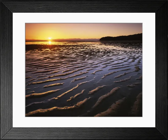 Framed Print : DDE-90026341