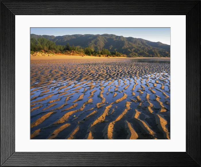 Framed Print : DDE-90026342