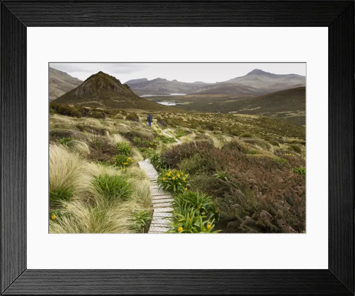 Framed Print : DDE-90026343