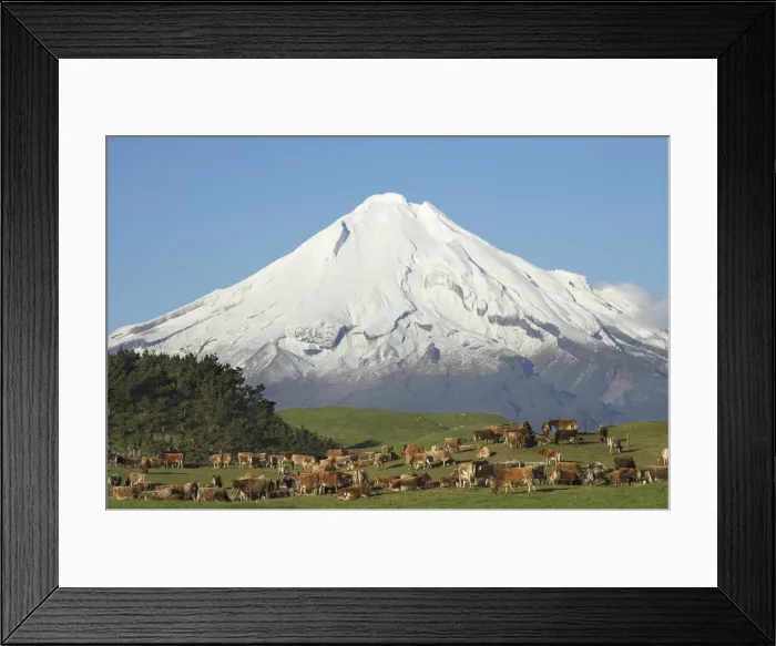 Framed Print : DDE-90026353 Framed Print : DDE-90026353