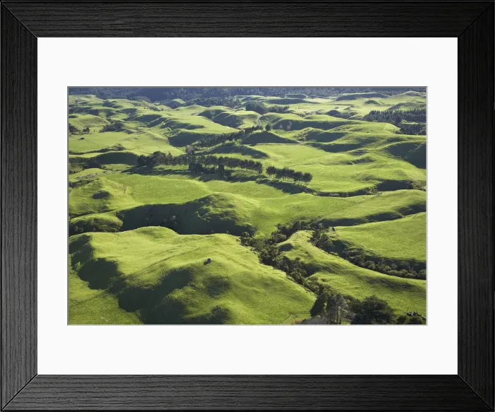 Framed Print : DDE-90026358 Framed Print : DDE-90026358