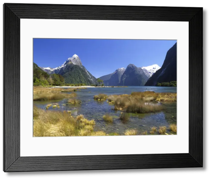 Framed Print : DDE-90026383