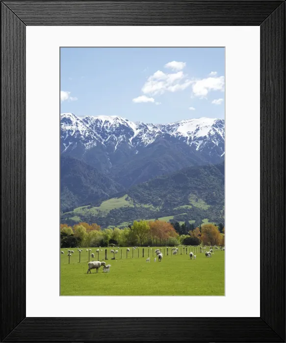 Framed Print : DDE-90026396