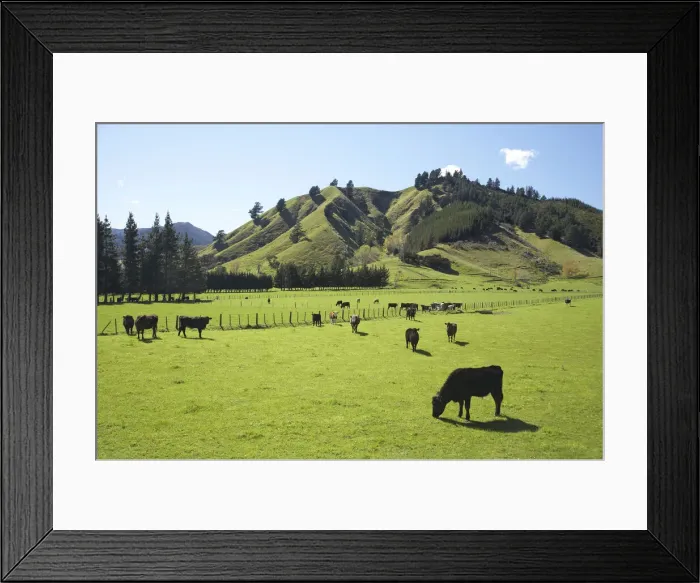 Framed Print : DDE-90026398 Framed Print : DDE-90026398