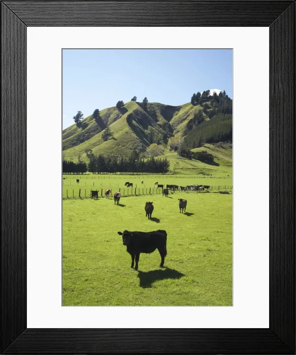 Framed Print : DDE-90026397 Framed Print : DDE-90026397