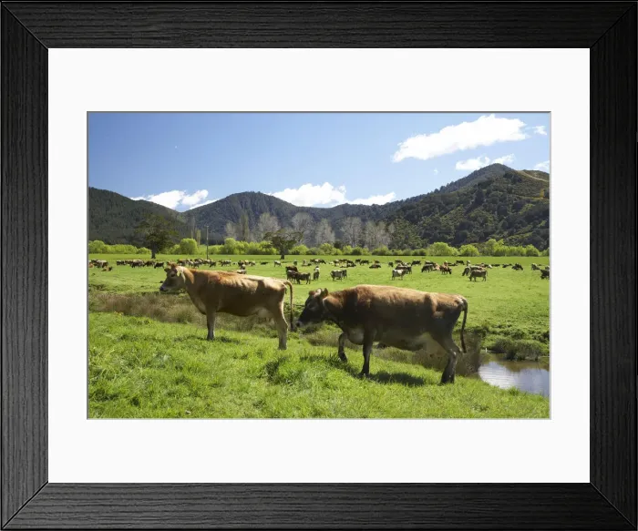 Framed Print : DDE-90026401 Framed Print : DDE-90026401