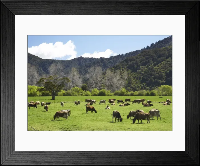 Framed Print : DDE-90026400 Framed Print : DDE-90026400