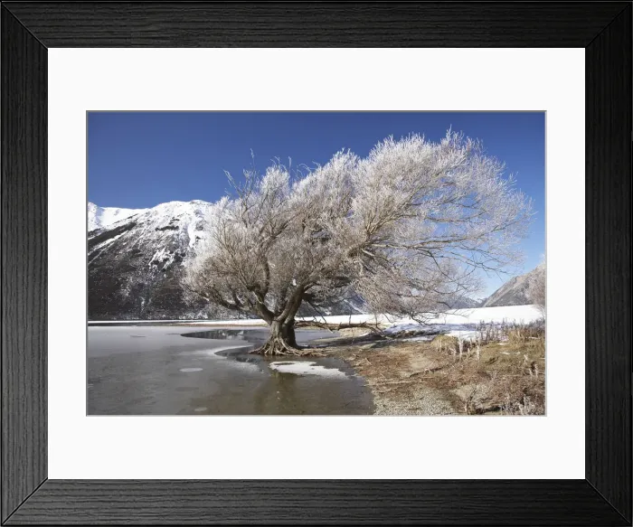 Framed Print : DDE-90026417 Framed Print : DDE-90026417