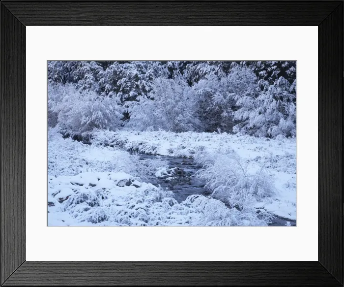 Framed Print : DDE-90026418 Framed Print : DDE-90026418