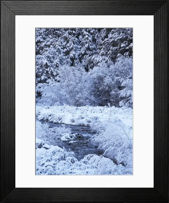 Framed Print : DDE-90026419 Framed Print : DDE-90026419