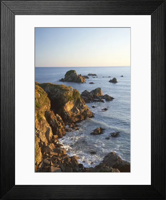 Framed Print : DDE-90026427 Framed Print : DDE-90026427