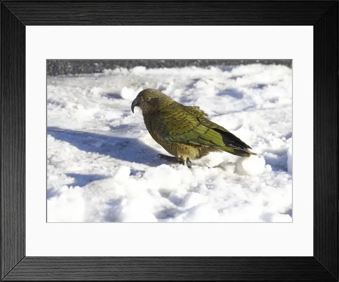 Framed Print : DDE-90026429 Framed Print : DDE-90026429
