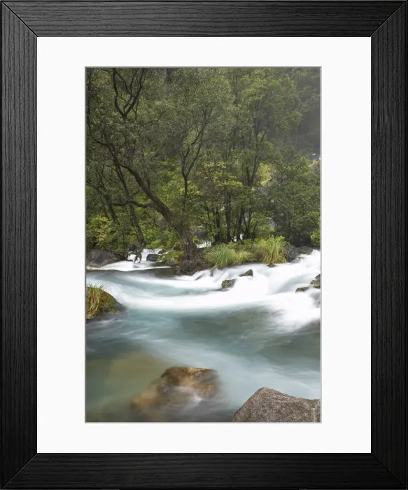 Framed Print : DDE-90026431