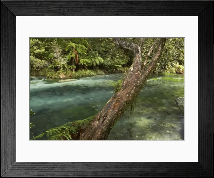 Framed Print : DDE-90026432 Framed Print : DDE-90026432