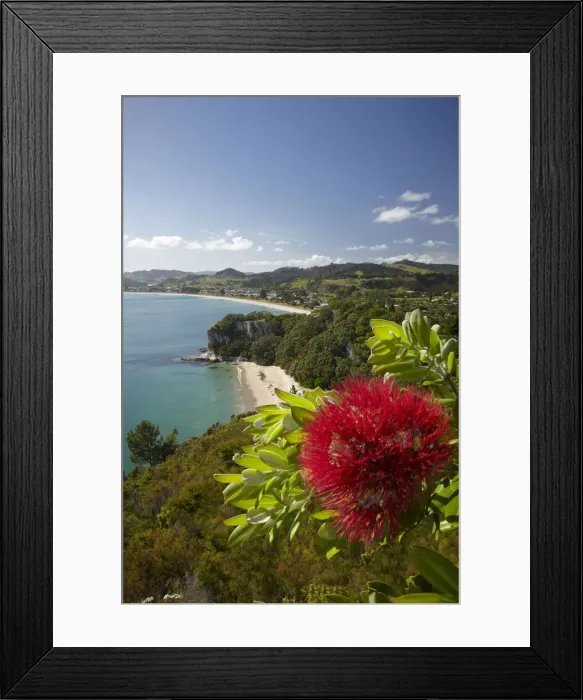 Framed Print : DDE-90026454 Framed Print : DDE-90026454