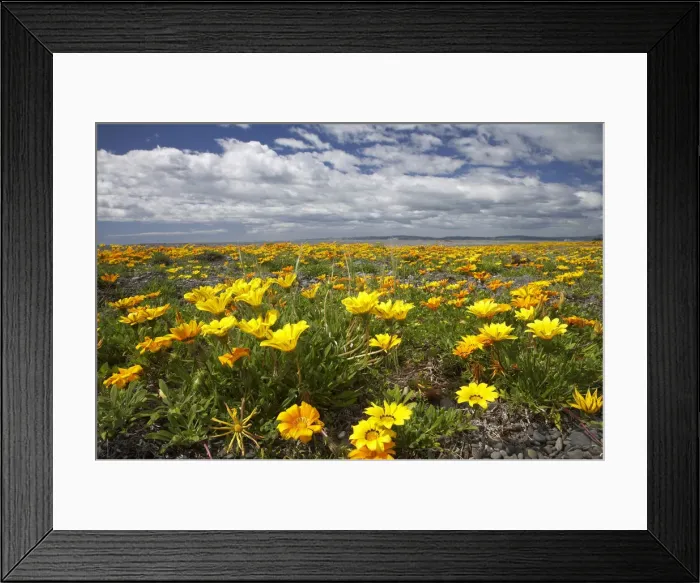 Framed Print : DDE-90026468 Framed Print : DDE-90026468