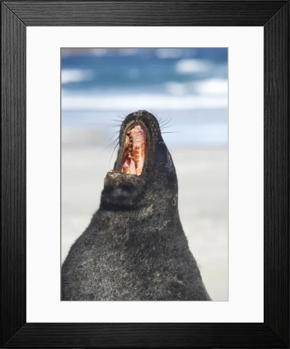 Framed Print : DDE-90026477
