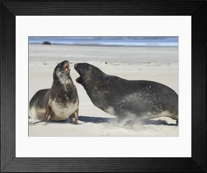 Framed Print : DDE-90026479