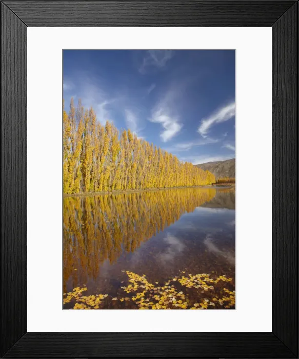 Framed Print : DDE-90026488 Framed Print : DDE-90026488