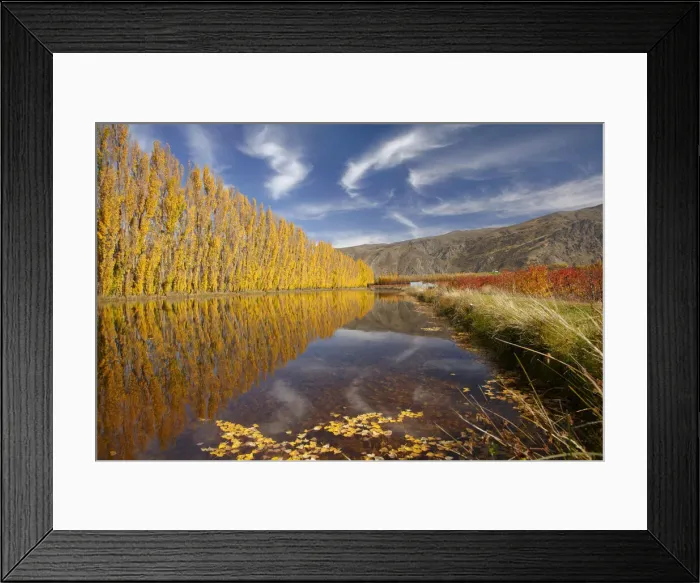 Framed Print : DDE-90026489