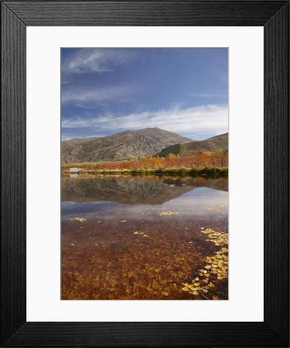 Framed Print : DDE-90026490 Framed Print : DDE-90026490