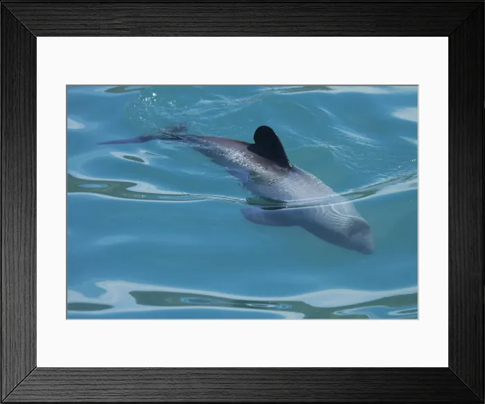 Framed Print : DDE-90026492 Framed Print : DDE-90026492