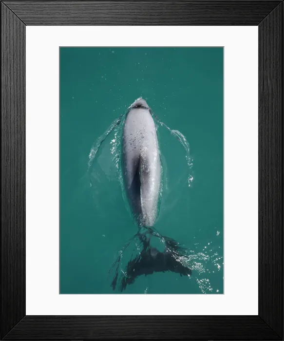 Framed Print : DDE-90026493 Framed Print : DDE-90026493