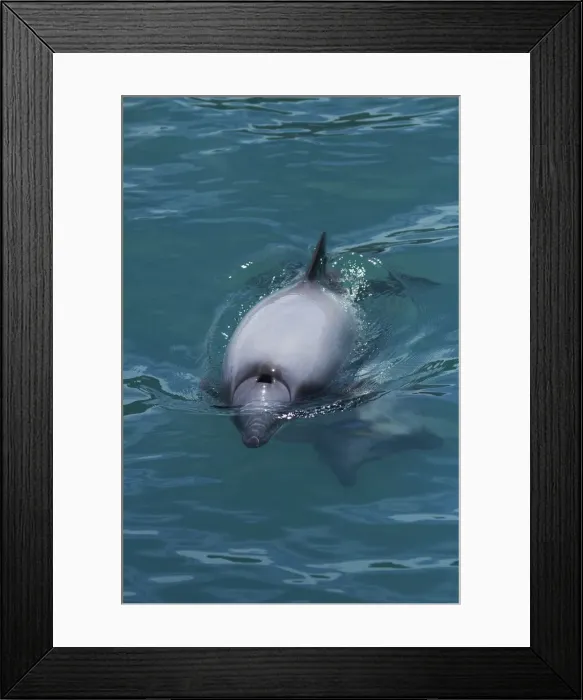 Framed Print : DDE-90026494