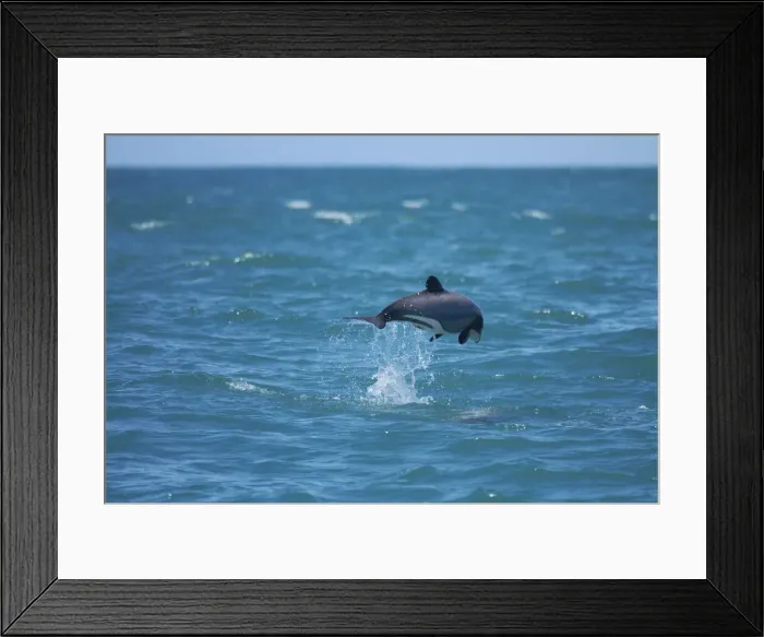 Framed Print : DDE-90026495