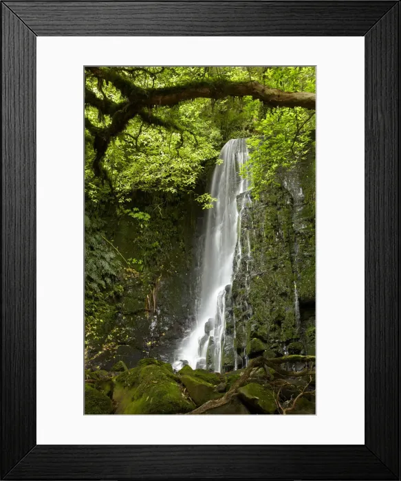 Framed Print : DDE-90026496 Framed Print : DDE-90026496