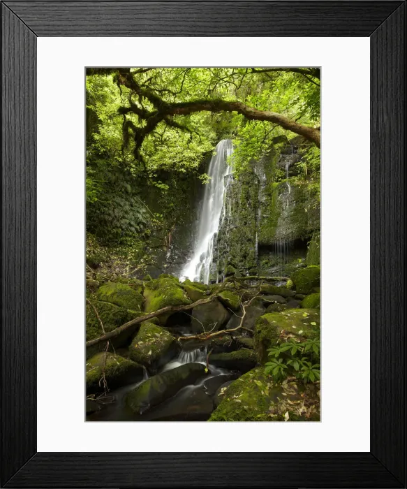 Framed Print : DDE-90026497