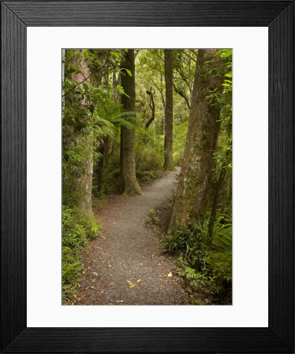 Framed Print : DDE-90026500 Framed Print : DDE-90026500