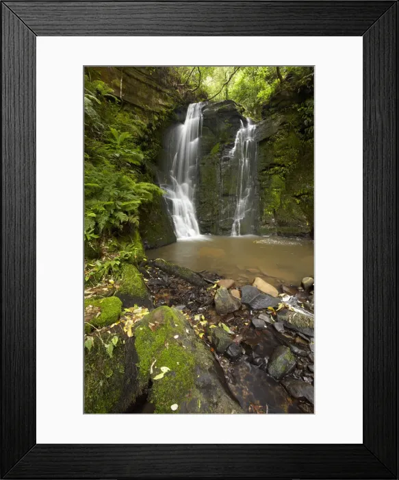 Framed Print : DDE-90026501