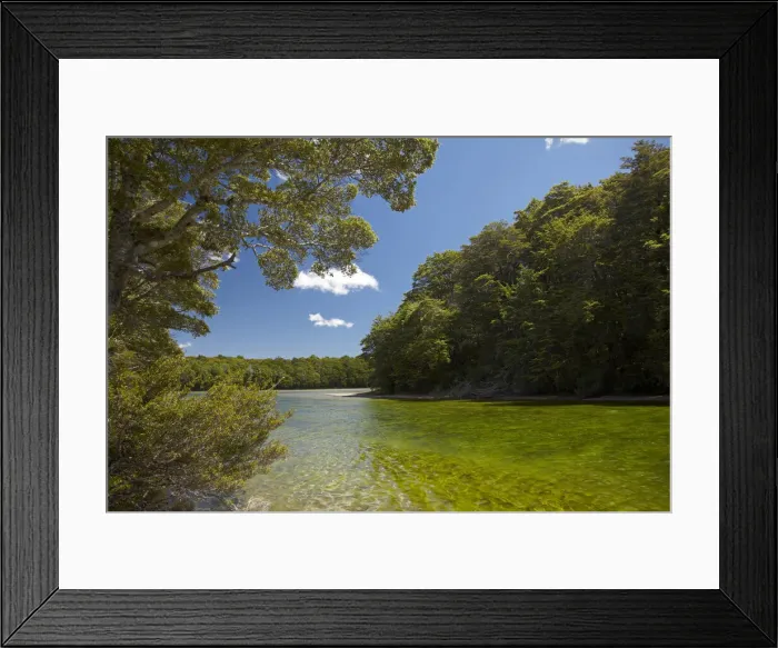 Framed Print : DDE-90026503 Framed Print : DDE-90026503