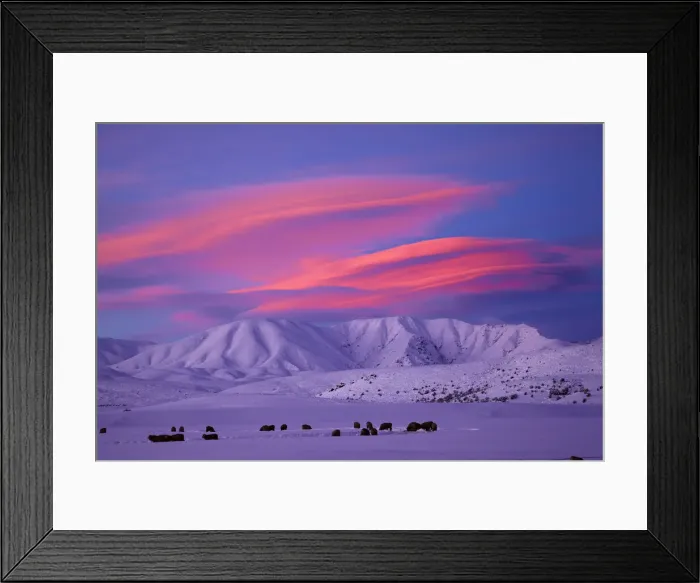 Framed Print : DDE-90026517 Framed Print : DDE-90026517